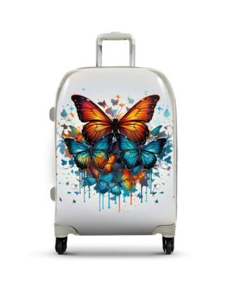 Motyl6